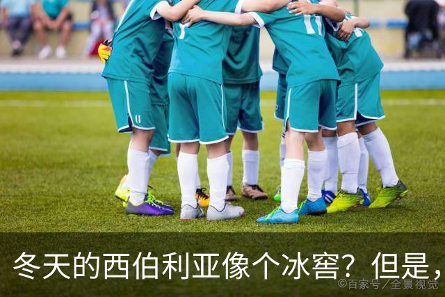 冬天的西伯利亚像个冰窖？但是，它却是俄罗斯的＂摇钱树＂