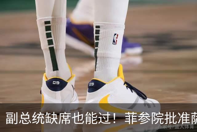 副总统缺席也能过！菲参院批准萨拉 7.852 亿预算：全是政坛面子