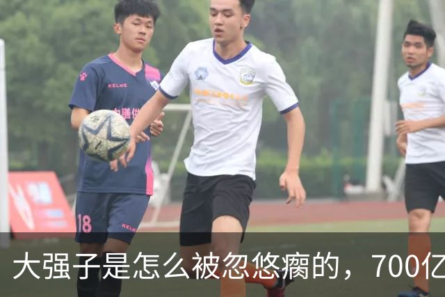 大强子是怎么被忽悠瘸的，700亿砸出5%的份额
