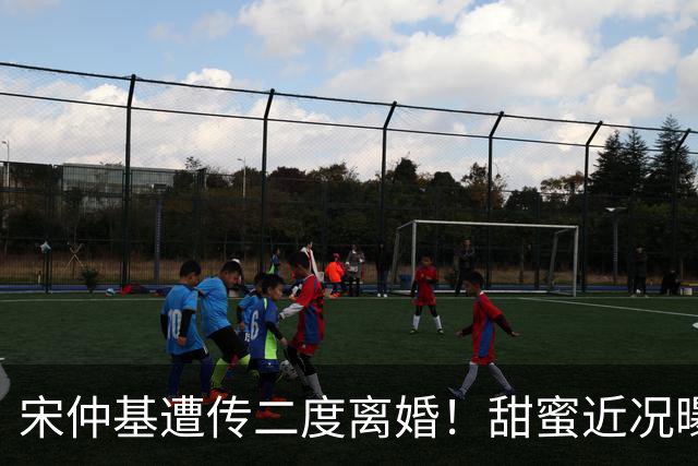 宋仲基遭传二度离婚！甜蜜近况曝光 「夫妻义大利榨油」两娃现身