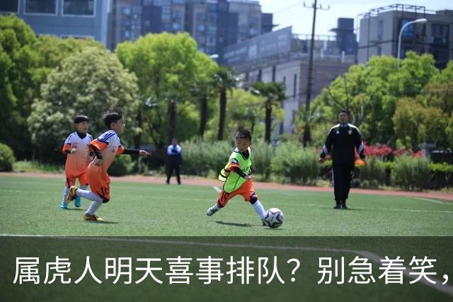 属虎人明天喜事排队？别急着笑，这篇戳中是扛了半辈子的长辈
