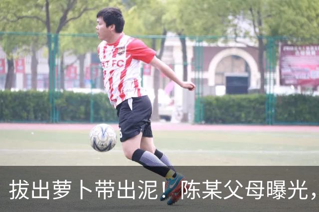 拔出萝卜带出泥！陈某父母曝光，扬州公司洗白，背后的人憋不住了